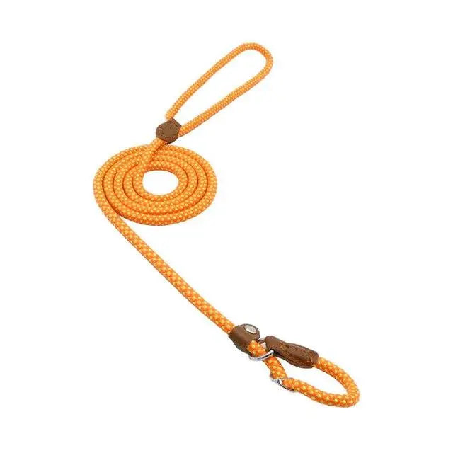 Nylon Pup Premium Dog Collar & Lead Set Anakha H. Nyx