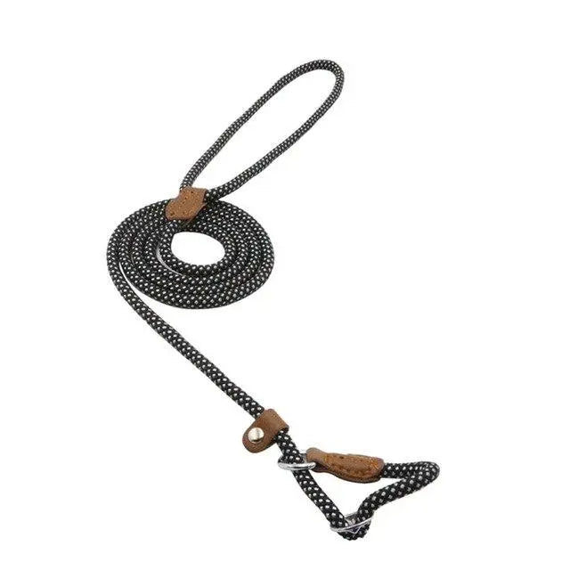 Nylon Pup Premium Dog Collar & Lead Set Anakha H. Nyx
