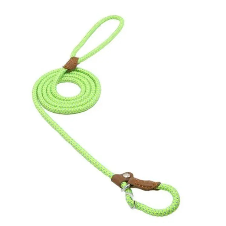 Nylon Pup Premium Dog Collar & Lead Set Anakha H. Nyx