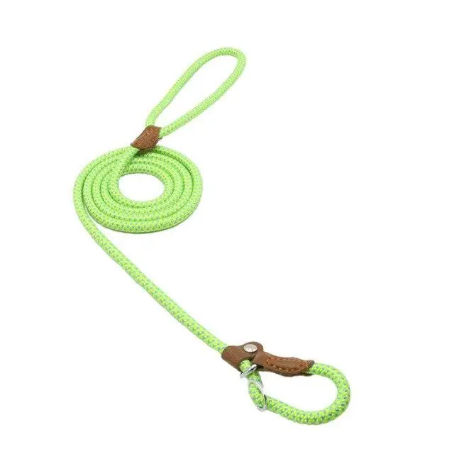 Nylon Pup Premium Dog Collar & Lead Set Anakha H. Nyx