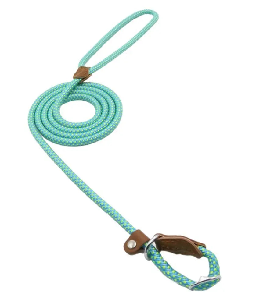 Nylon Pup Premium Dog Collar & Lead Set Anakha H. Nyx
