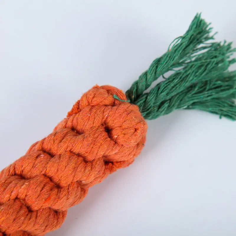 Carrot Shaped Cotton Rope Dog Toy Anakha H. Nyx