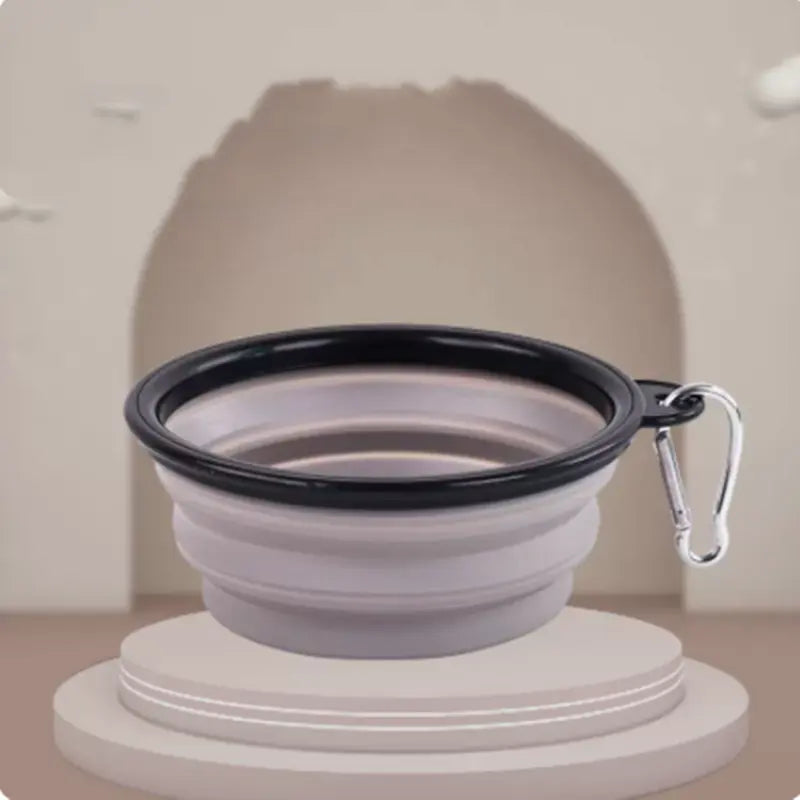 Collapsible Silicone Pet Travel Bowl - 2 Sizes to Choose From Anakha H. Nyx