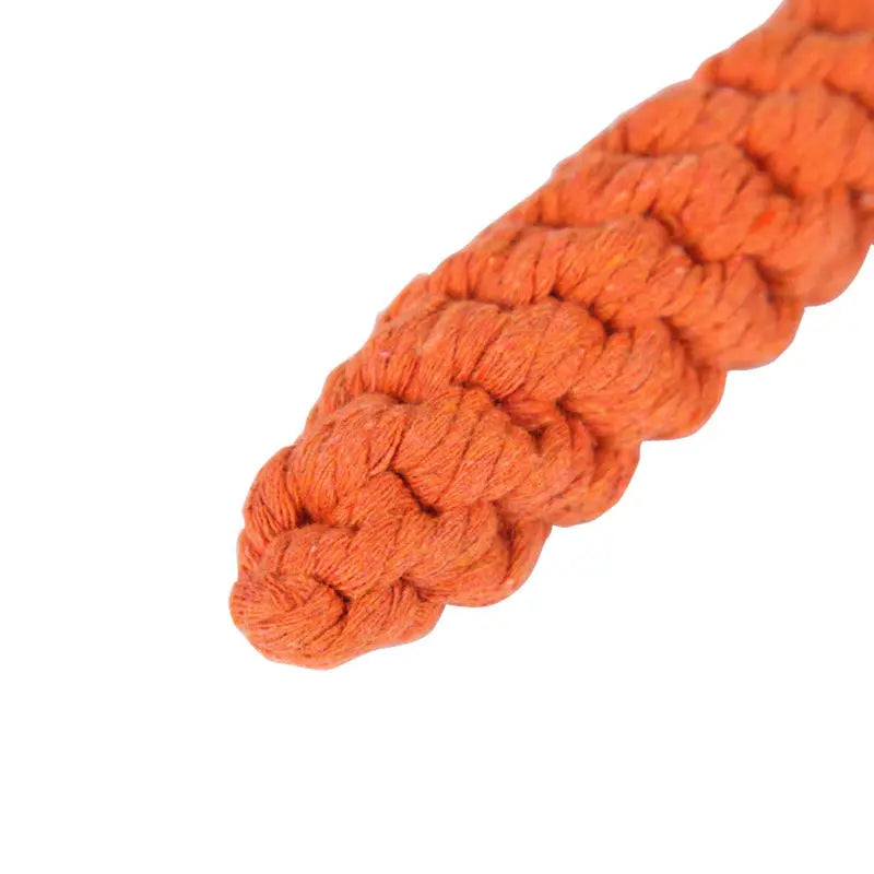 Carrot Shaped Cotton Rope Dog Toy Anakha H. Nyx