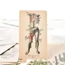 The Antique Anatomy Tarot, a uniquely macabre and deeply intuitive divination tool Anakha H. Nyx