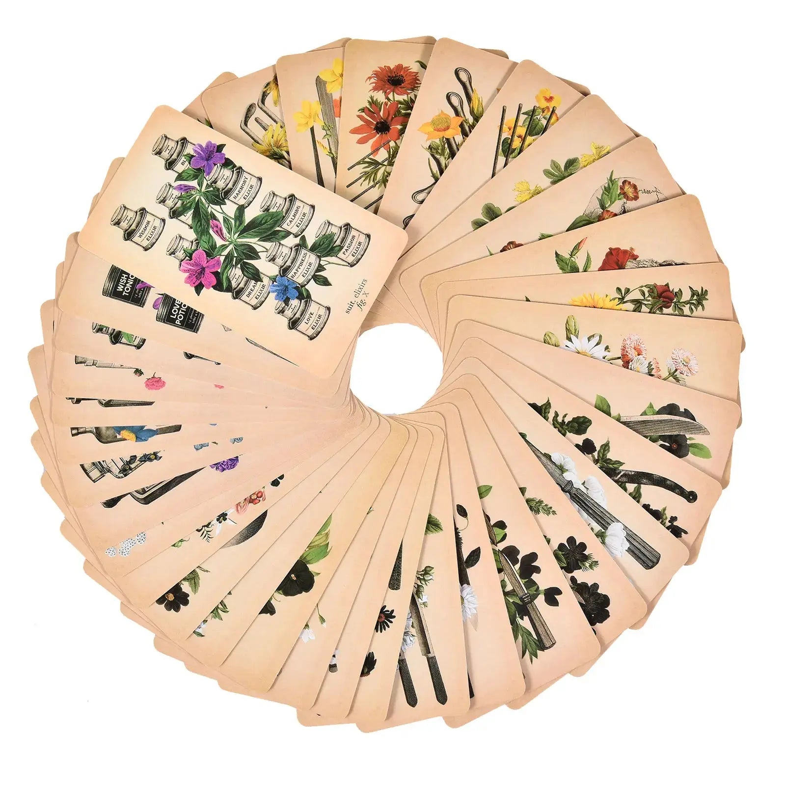 The Antique Anatomy Tarot, a uniquely macabre and deeply intuitive divination tool Anakha H. Nyx