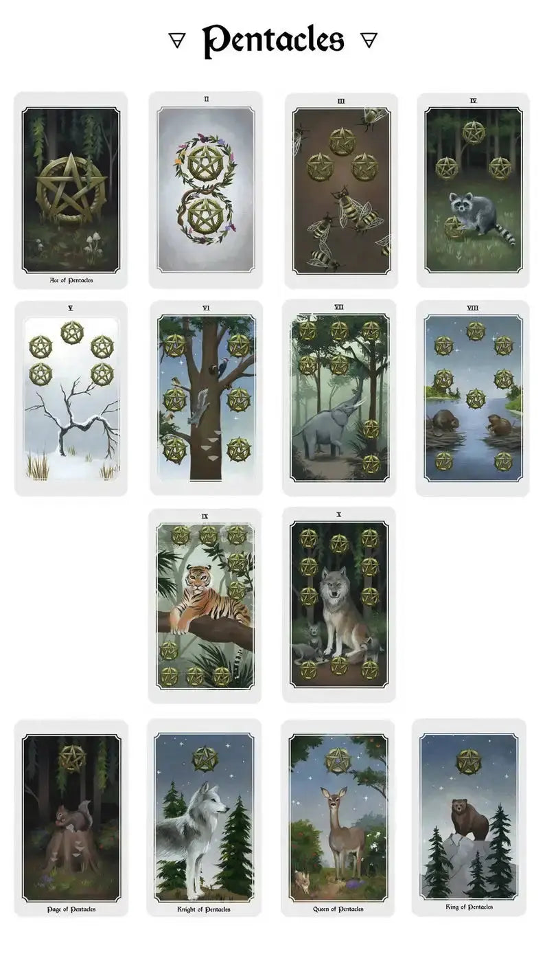 Beautiful Hand Painted Anima Mundi Tarot Anakha H. Nyx