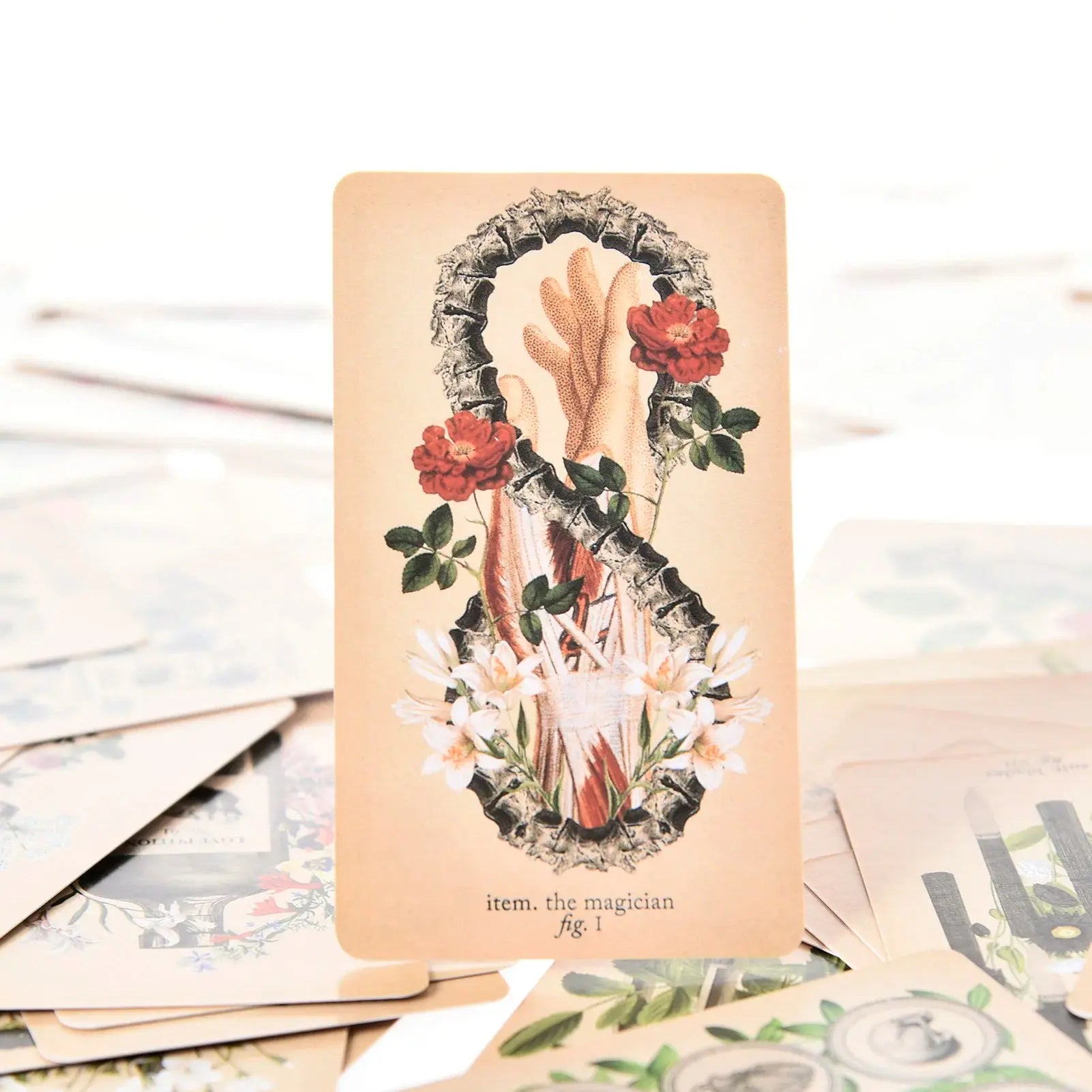 The Antique Anatomy Tarot, a uniquely macabre and deeply intuitive divination tool Anakha H. Nyx