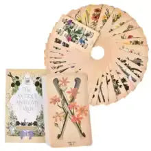 The Antique Anatomy Tarot, a uniquely macabre and deeply intuitive divination tool Anakha H. Nyx