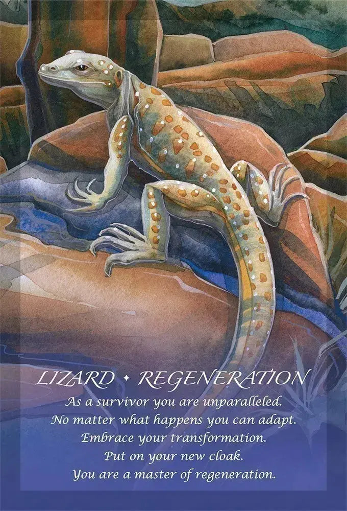 Connect with Nature’s Wisdom: Spirit of the Animals Oracle by Jody Bergsma Anakha H. Nyx