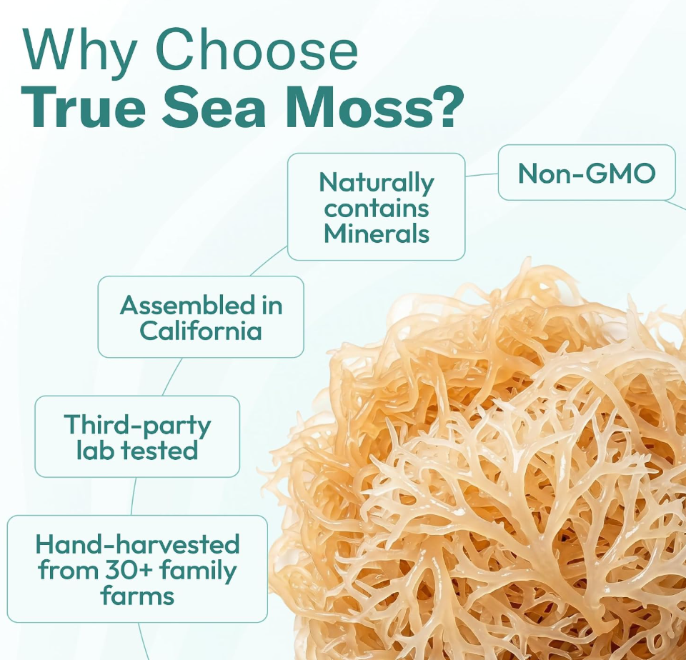 TrueSeaMoss Sea Moss Gel
