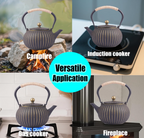 KalraMay Cast Iron Teapot