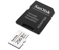 SanDisk 256GB High Endurance Video microSDXC Card with Adapter
