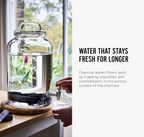 BLACK + BLUM Charcoal Water Filter Sticks (4-Piece Set)