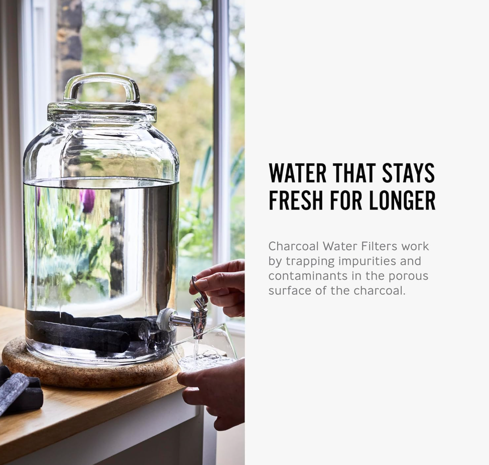 BLACK + BLUM Charcoal Water Filter Sticks (4-Piece Set)
