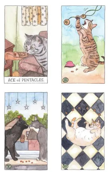 Unlock the secrets of the past, purr-esent, & future w/ the Cat Tarot & Guidebook Anakha H. Nyx