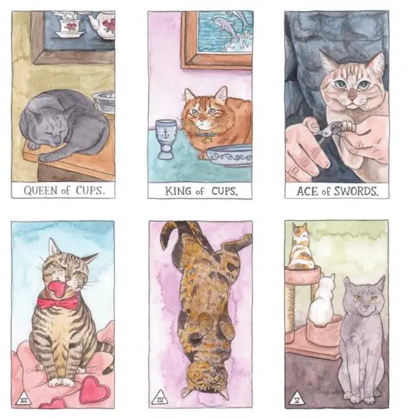 Unlock the secrets of the past, purr-esent, & future w/ the Cat Tarot & Guidebook Anakha H. Nyx