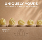 Anima® Large Raw Brazilian Citrine Crystal