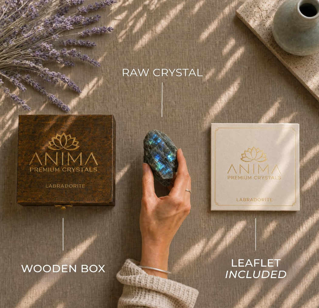 Anima® Large Raw Madagascar Labradorite Crystal
