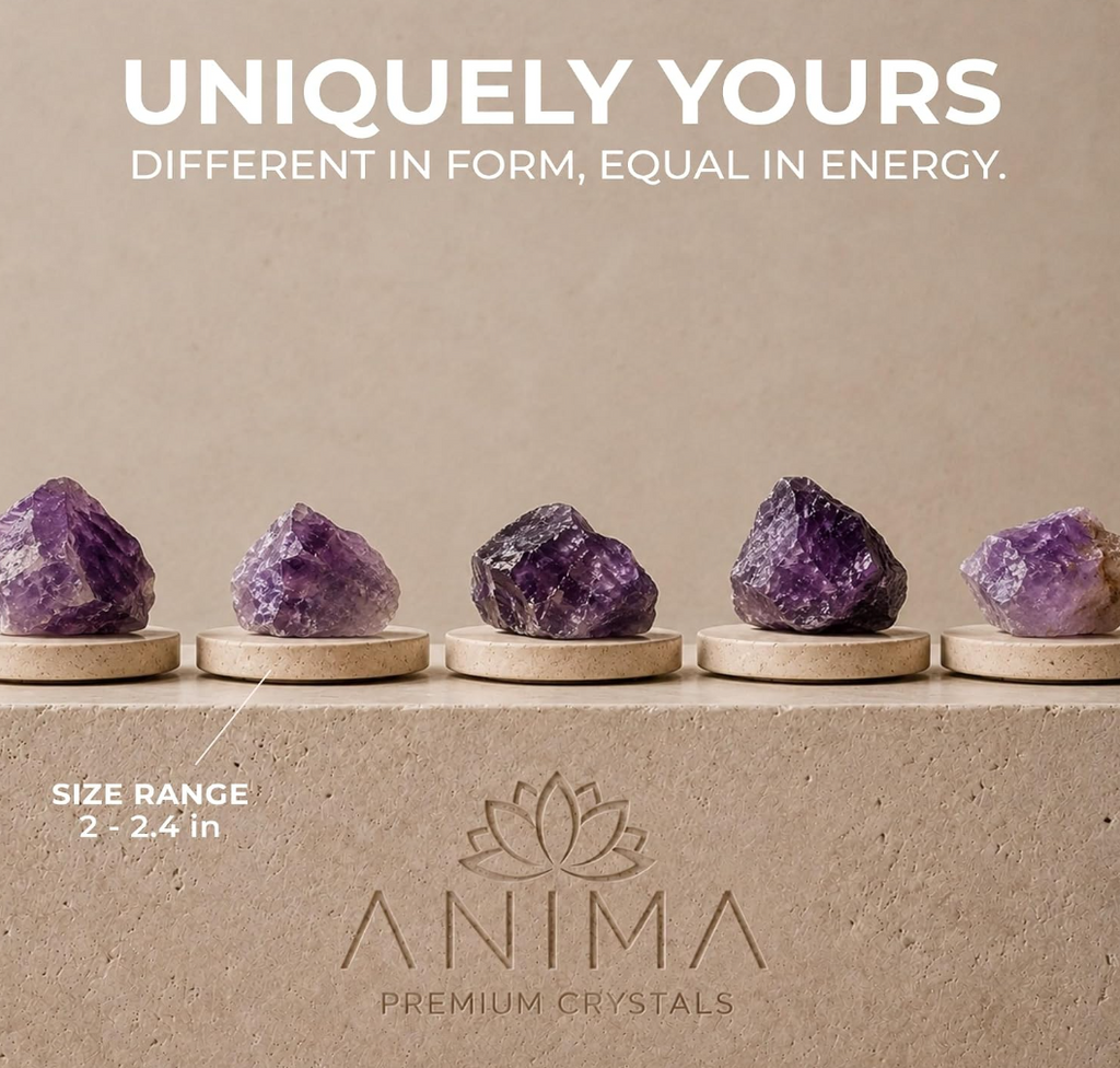 Anima® Large Raw Brazilian Amethyst Crystal