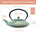 SECHUDO Japanese Style Tea Pot with Stainless Steel Strainer - Koi Fish Pattern