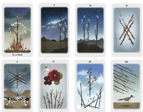 Anima Mundi Wands cards neatly displayed showing hand-painted illustrations of owls, lizards, and deer.