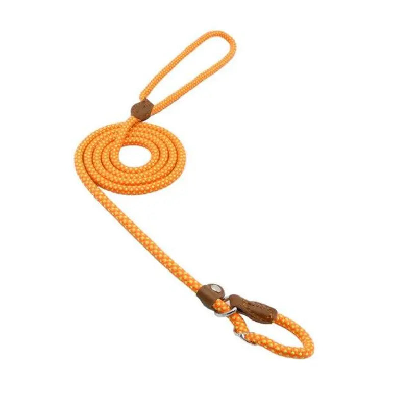 Nylon Pup Premium Dog Collar & Lead Set Anakha H. Nyx