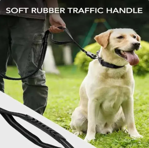 Tactical Dog Leash – Heavy-Duty & Secure Anakha H. Nyx