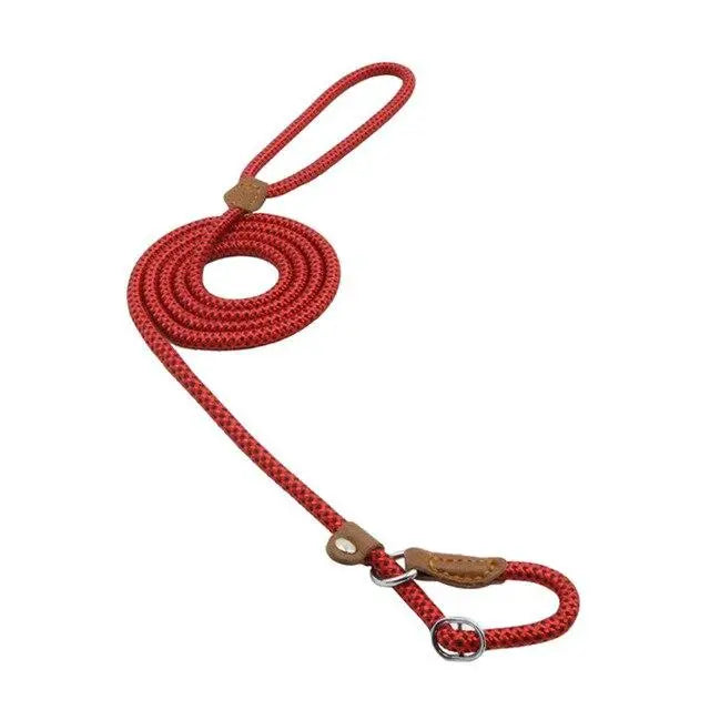 Nylon Pup Premium Dog Collar & Lead Set Anakha H. Nyx