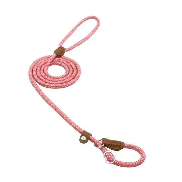 Nylon Pup Premium Dog Collar & Lead Set Anakha H. Nyx