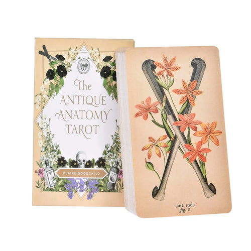 The Antique Anatomy Tarot keepsake box next to a card back showing crossed bones and orange lilies.