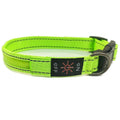 Illuminate the Dark: The Aegis Premium Reflective LED Luminous Dog Collar