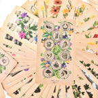 Close-up top-down view of tarot cards arranged in a seamless circle layout on a dark background.