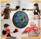 RhythmStrike Pro Smart Music Boxing Machine