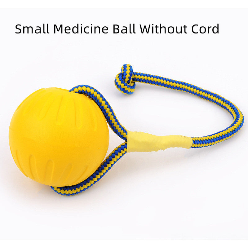 Defy Gravity: The EVA Floating Aerodynamic Dog Training Ball