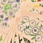 A collection of face-up fanned cards from the Antique Anatomy deck, showcasing the uniform cream-colored cardstock and detailed macabre artwork plant designs.