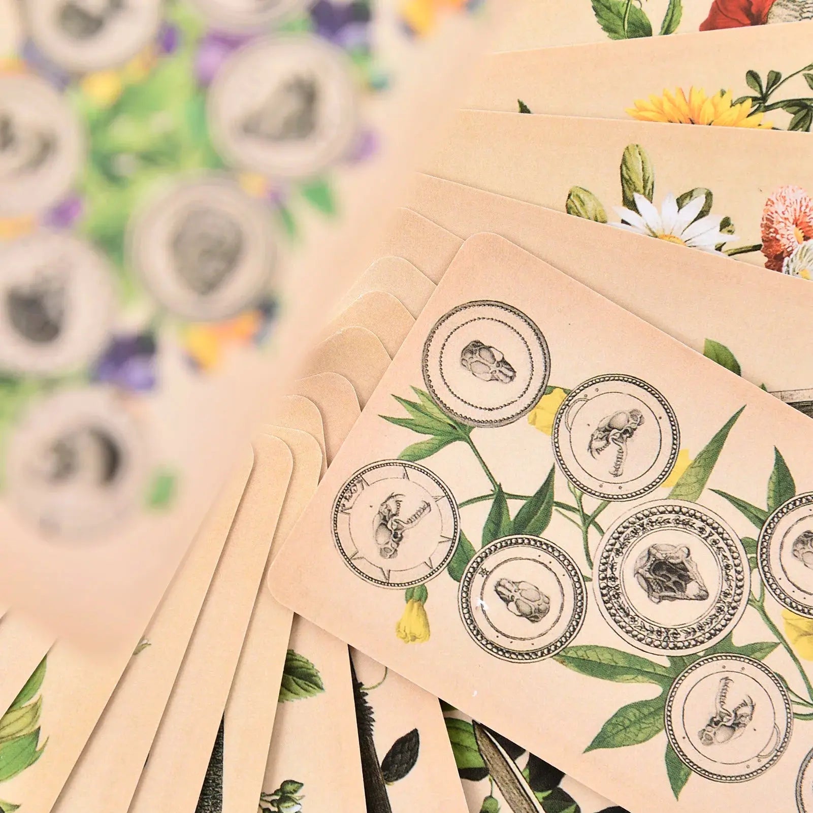 A collection of face-up fanned cards from the Antique Anatomy deck, showcasing the uniform cream-colored cardstock and detailed macabre artwork plant designs.