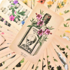 E-commerce product display showing the Antique Anatomy Tarot box resting amidst a spread of fanned cards.