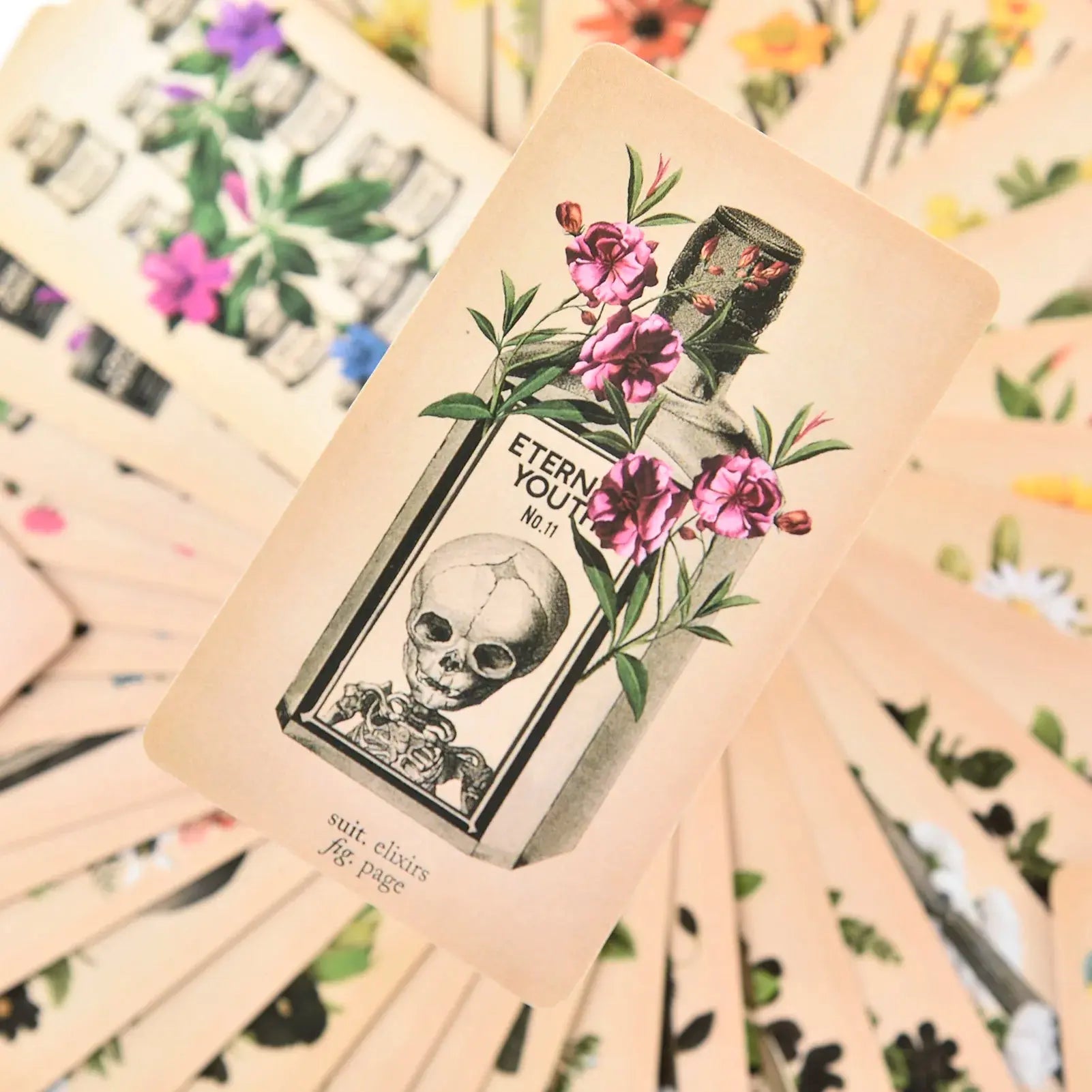 E-commerce product display showing the Antique Anatomy Tarot box resting amidst a spread of fanned cards.