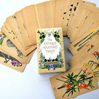The Antique Anatomy companion guidebook centered over a fanned out deck of matte-finish cards.