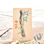 The Fool tarot card depicting an anatomical drawing of a human leg and foot muscles with blue and orange morning glories.