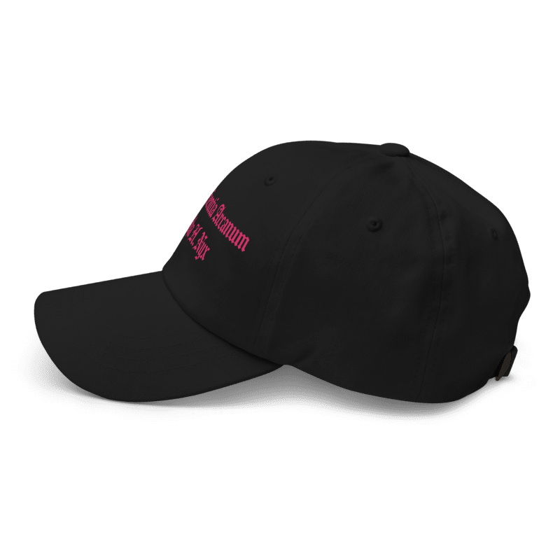 Elevate Your Everyday Mysticism: The Cogito Dad Hat CSA - AHN Pink