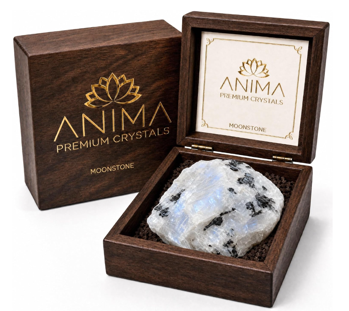 Anima® Large Raw Natural Moonstone Crystal