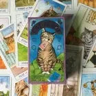 Unlock the secrets of the past, purr-esent, & future w/ the Cat Tarot & Guidebook Anakha H. Nyx