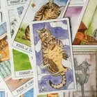 Unlock the secrets of the past, purr-esent, & future w/ the Cat Tarot & Guidebook Anakha H. Nyx