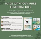 An informative product graphic titled "Made with 100% Pure Essential Oils" breaking down the specific botanical notes for Daisy Fresh, Sea Breeze, Cabin Essence, and Winter Walk next to their respective product packaging pouches